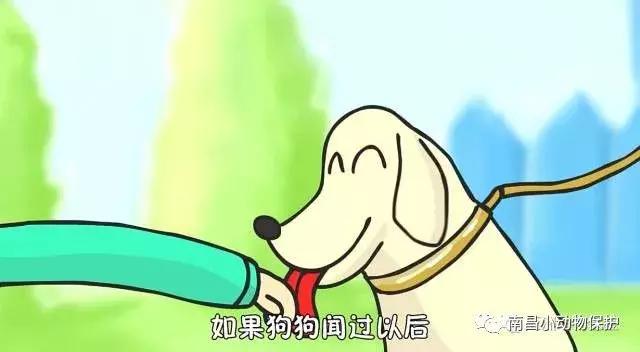 世界狂犬病日漫画,世界狂犬病漫画