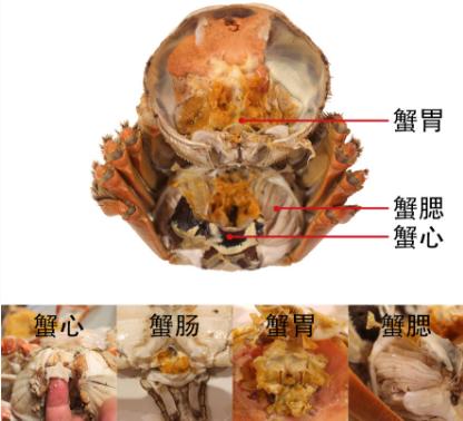 螃蟹有哪个步骤不能吃,螃蟹的有哪一些部分不能吃