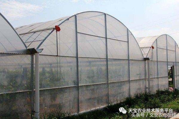 180米长14米宽温室大棚造价多少,温室大棚建造每平米价格