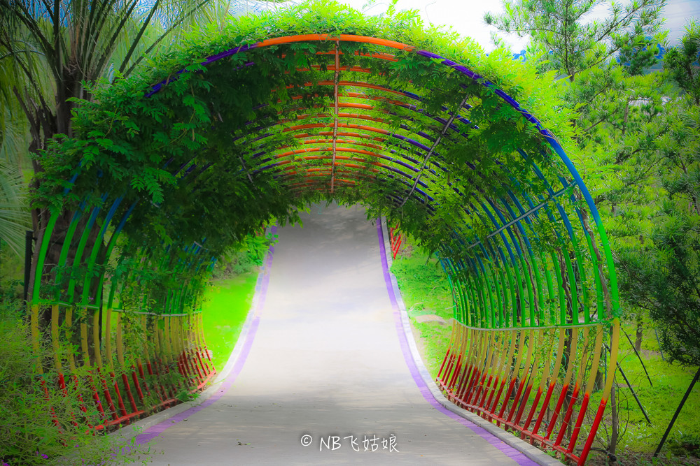 南通适合亲子游玩的园区,南通绿博园旁边游玩的地方