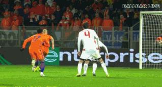 荷兰的郁金香,荷兰郁金香已然凋零