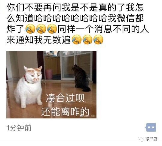 鹿晗和关晓彤现在是情侣吗,鹿晗和关晓彤是真情侣吗