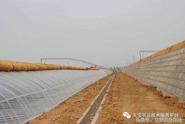 180米长14米宽温室大棚造价多少,温室大棚建造每平米价格