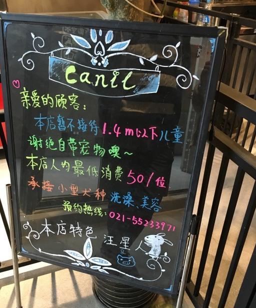 上海狗狗咖啡馆推荐,上海小众咖啡馆