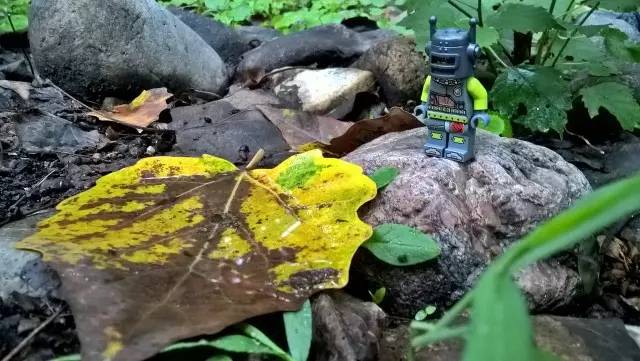 乐高小人国挑战,乐高小人探险之旅