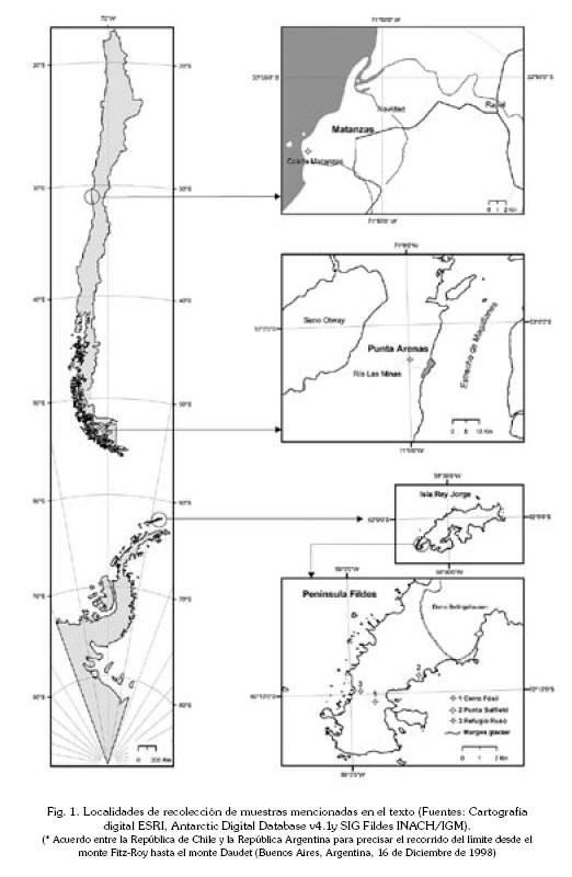 智利南北距离最远的国家,狭长的海岸线的国家智利
