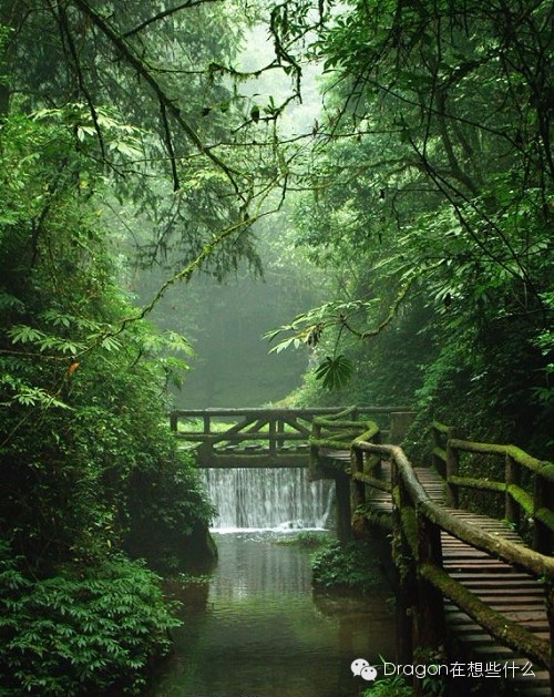 重庆到四川远吗,四川和重庆哪里远