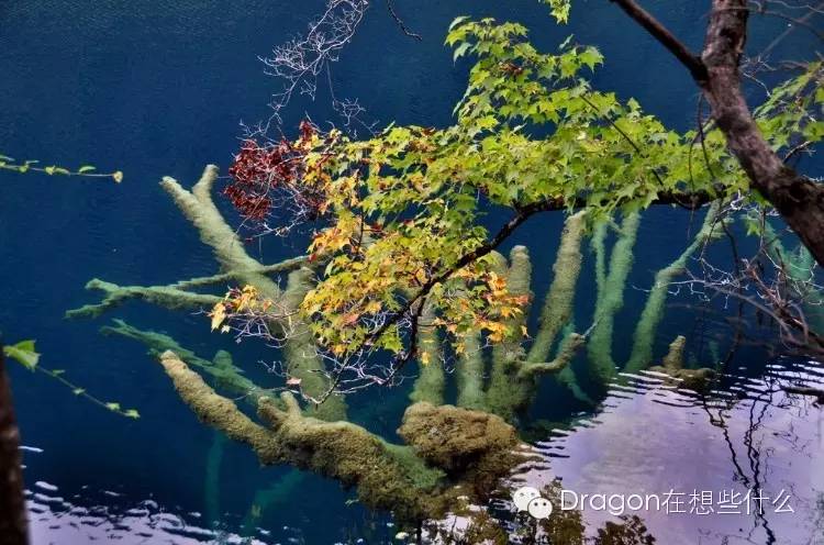 重庆到四川远吗,四川和重庆哪里远