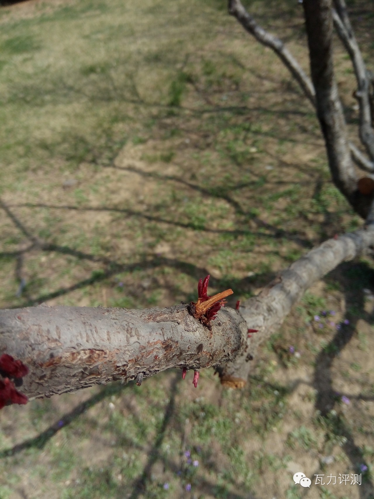 360f4手机最新评论,360f4手机的像素怎么样