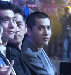 金毛狮王怎么护发,金毛狮王头怎么打理