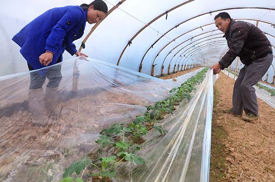 手把手教你做农膜“淘客”