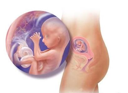 新生儿刚出生的检查结果,新生儿出生第二天体检爸爸吓坏