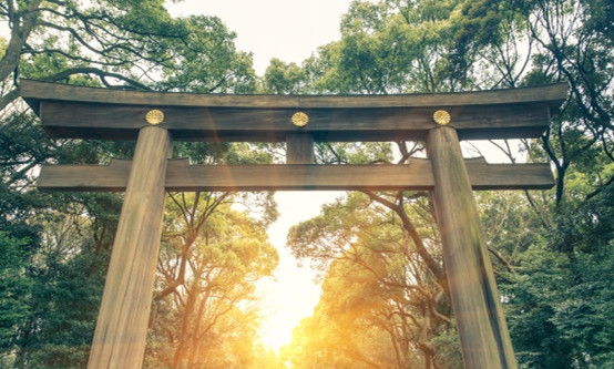 旅游景点樱花谷攻略,赏樱攻略和景点推荐