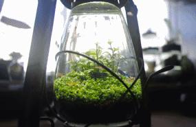 修复几十年前的马灯,旧马灯翻新全过程