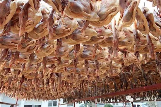 今天终于知道，阜阳的小名为什么叫“牛逼”了！