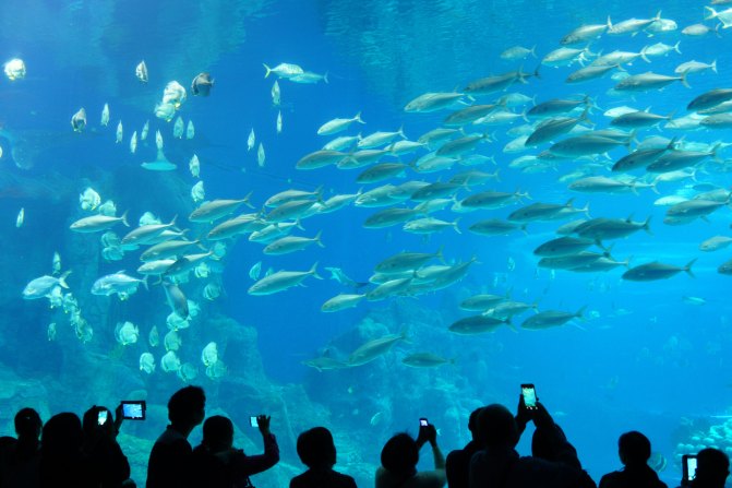 珠海长隆海洋王国2天1夜游玩攻略,最新珠海长隆海洋王国旅游攻略