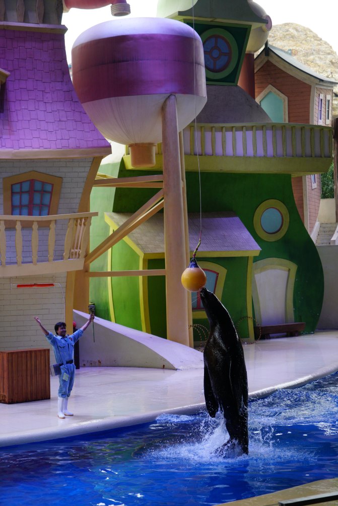 珠海长隆海洋王国2天1夜游玩攻略,最新珠海长隆海洋王国旅游攻略