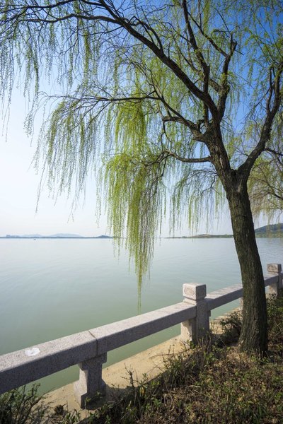 太湖舒畅之旅：乐享田园生活