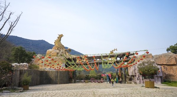 太湖舒畅之旅：乐享田园生活