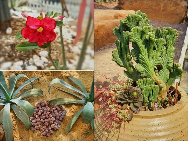 太湖舒畅之旅：乐享田园生活