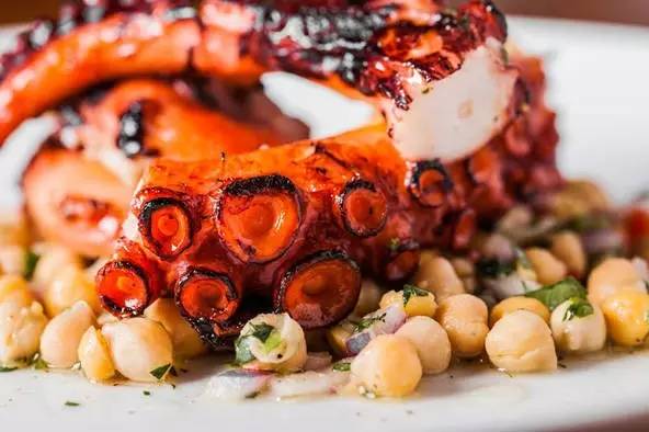 八爪鱼：满身的奇技淫巧，也敌不过煎炸炖炒