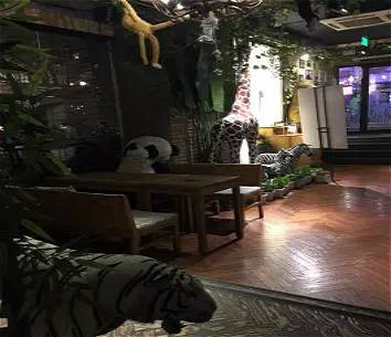 宋仲基欧巴来哈尔滨必去的6家咖啡厅，第3家居然是.....