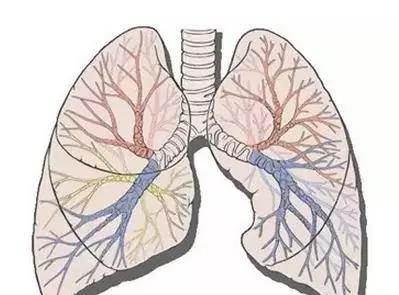 中医调理五脏六腑疾病的顺序,五脏六腑中医调理顺序