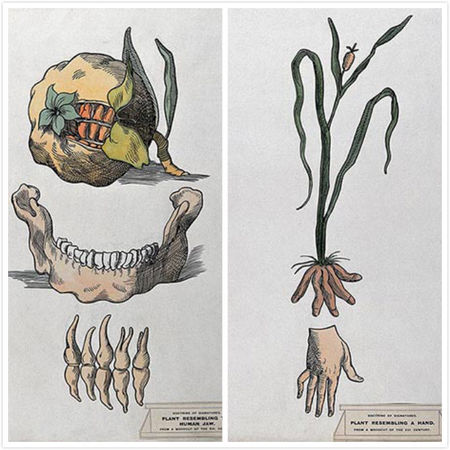 西方国家古代没有中药怎么治病,古代人生病都吃什么药