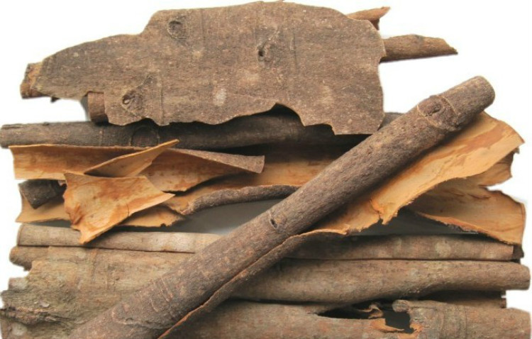 桂皮是八月桂花树皮吗,桂皮从桂花树上弄来吗