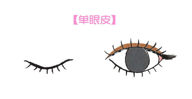 各种眼型适合的眼妆教程,倒三角眼妆适合哪种眼型