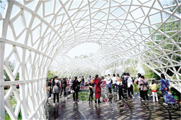 十一黄金周回忆视频,十一黄金周全集视频