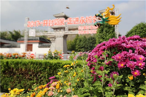 十一黄金周回忆视频,十一黄金周全集视频