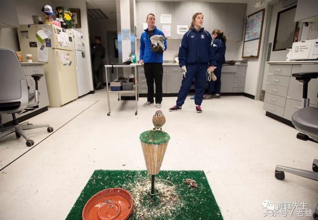 美国最豪华的军校,美国军校有哪些