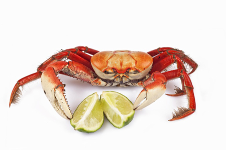 吃螃蟹会导致流产的说法正确吗,为什么有人说吃螃蟹会流产