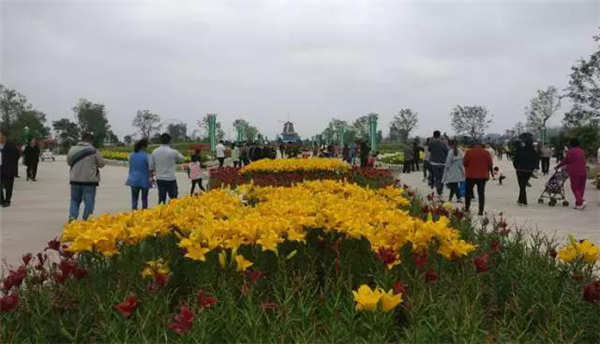 十一黄金周回忆视频,十一黄金周全集视频