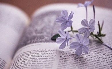 英语语法基础知识大全整顿,英语语法基础知识大全完整版