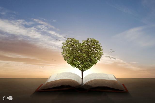 英语语法基础知识大全整顿,英语语法基础知识大全完整版