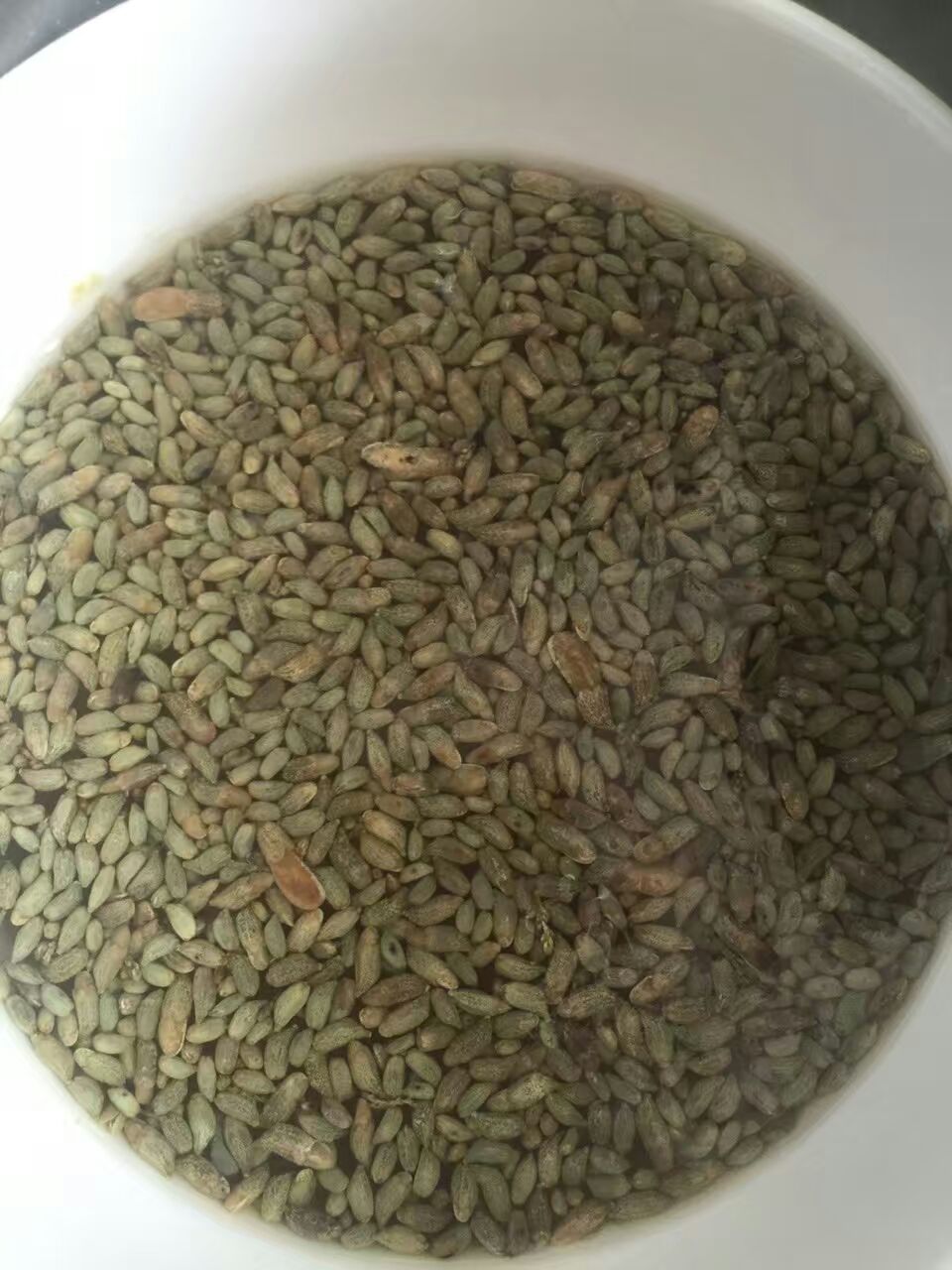 槐花粉小吃做法大全,甜品槐花粉视频