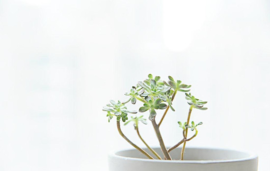 儿童皮肤过敏痒怎么止痒,眼睛过敏肿痒怎么快速消肿止痒