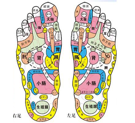 自己在家按摩脚底手法教程完整版,脚底按摩怎么学