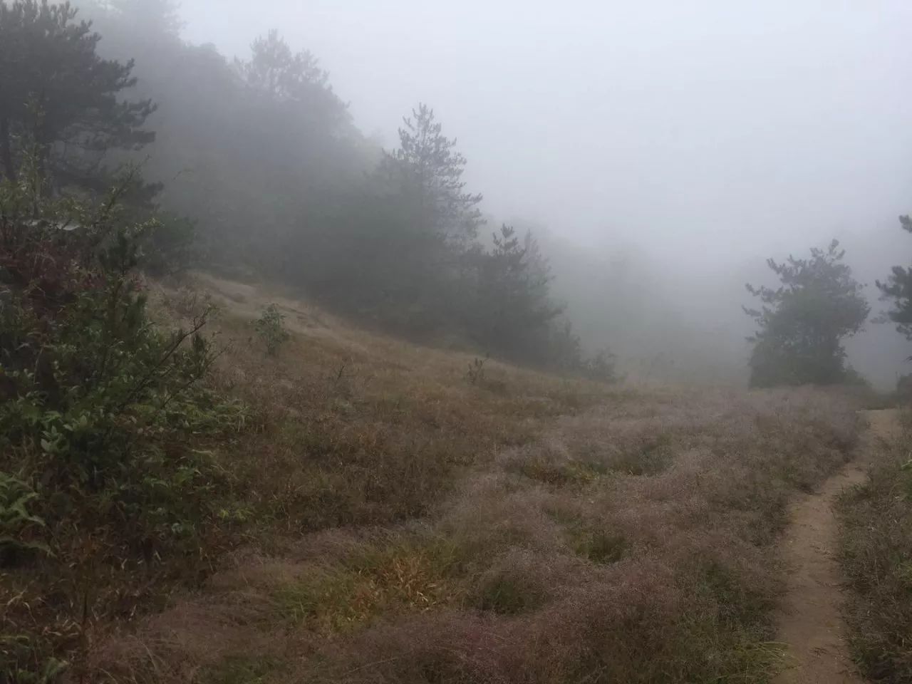 齐云山旅游攻略,齐云山深度游攻略