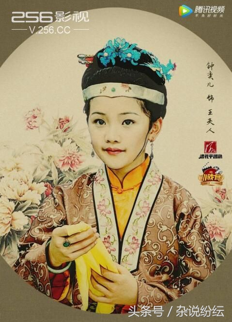 红楼梦小戏骨长大后拍的剧叫什么,小戏骨儿童版红楼梦