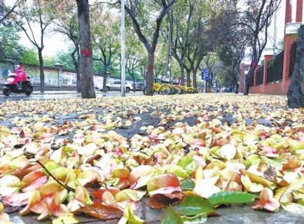 河南省驾考科三现在好考不,河南驾考新规科三有哪些变化