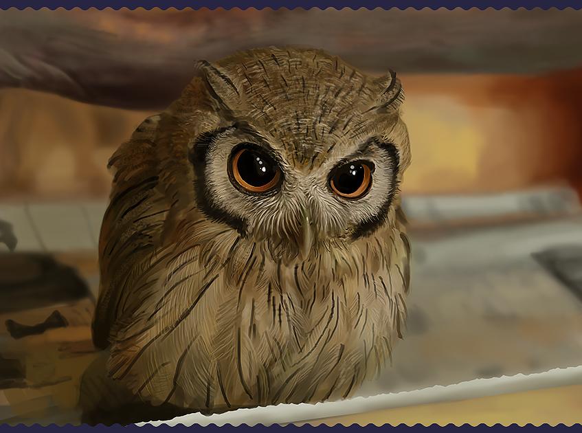 零基础画画指南快速学会绘画技巧,零基础超详细绘画教程