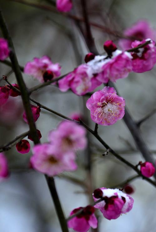 十劝世人大实话完整版,十劝世人大实话