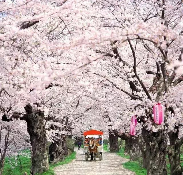 大家好这是我的家乡淮安英文,欢迎来我的家乡上海