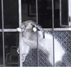 有一种爱叫你妈喊你穿秋裤了,你妈喊你穿秋裤啦图片