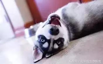 无痛胃肠镜是怎么麻醉的,无痛胃肠镜麻醉评估要做哪些检查