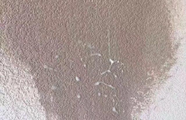 怎么区别硅藻泥好坏,乳胶漆和硅藻泥的优劣对比