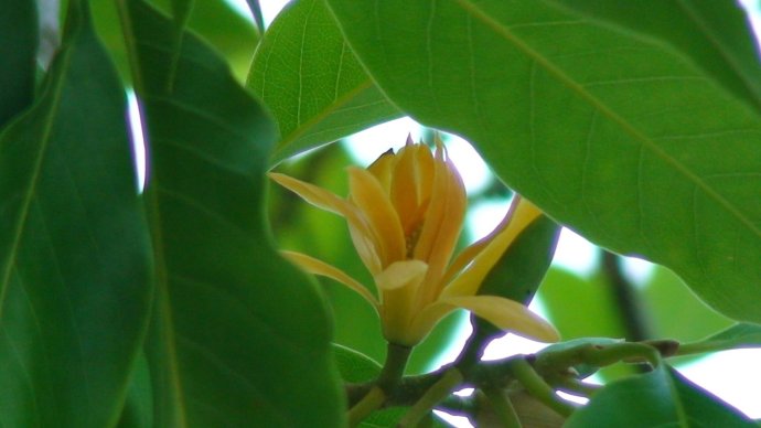 每个人都要经历的必经之路 (每个人所走的路都是必经之路)